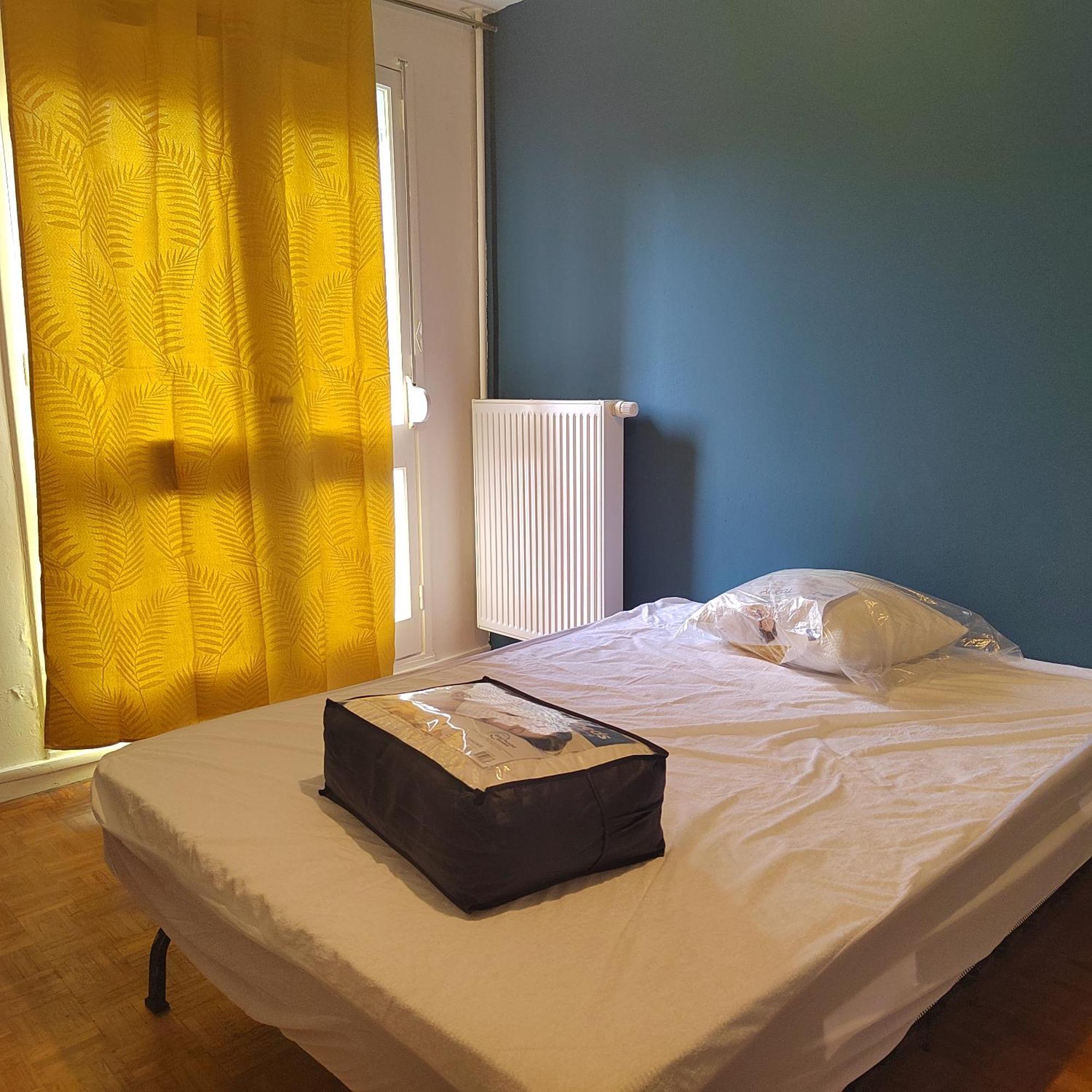 Chambre Dans Un Appartement En Colocation レンヌ エクステリア 写真